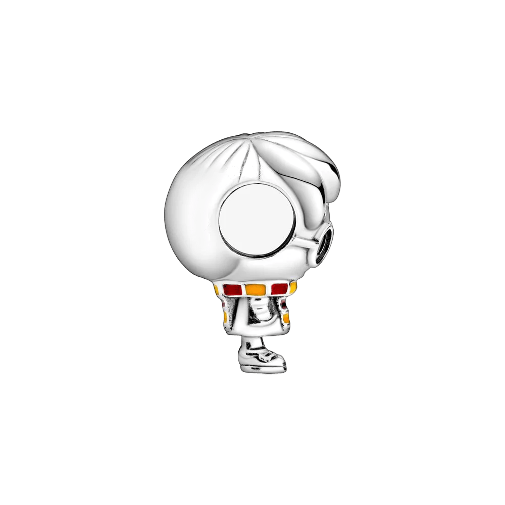 Harry Potter Charm
