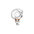 Harry Potter Charm