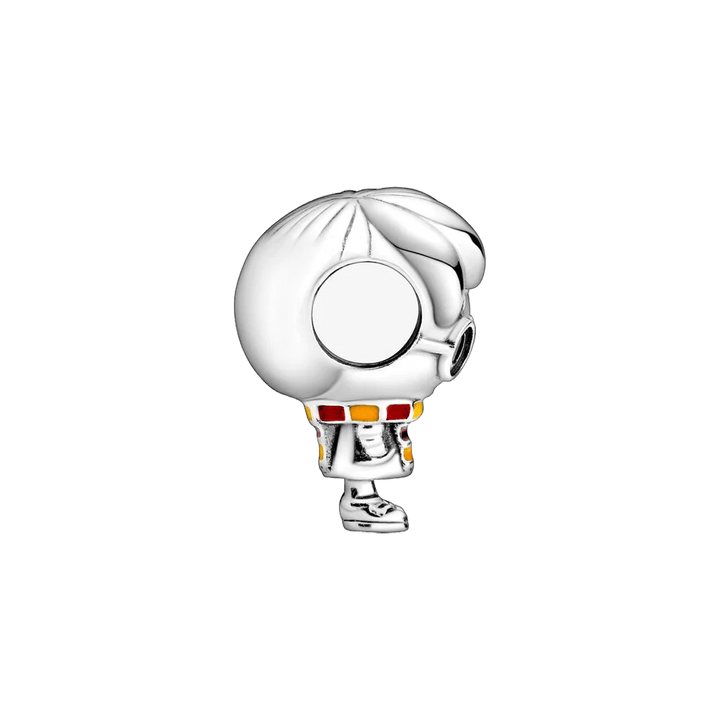 Harry Potter Charm